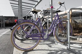 Picture of bikes