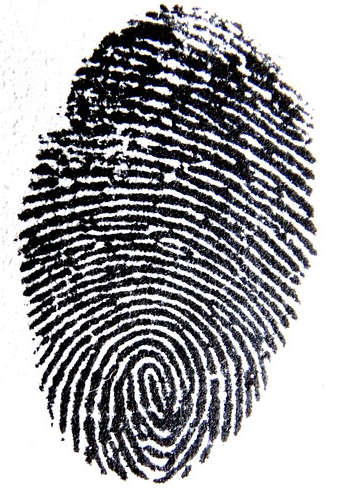 New Supplier of Digital Fingerprint & Electronic Federal Criminal