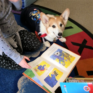 read to a superhero dog